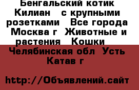 Бенгальский котик Килиан , с крупными розетками - Все города, Москва г. Животные и растения » Кошки   . Челябинская обл.,Усть-Катав г.
